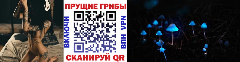 мориарти клад  Лукоянов  Галлюциногенные грибы ЛСД 